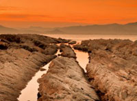 防封号外呼软件