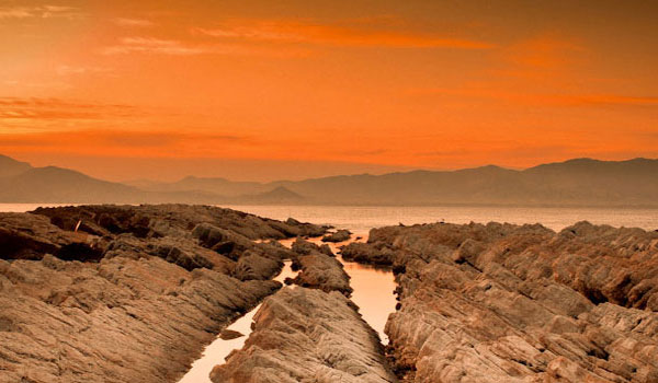 电话轰炸业务网